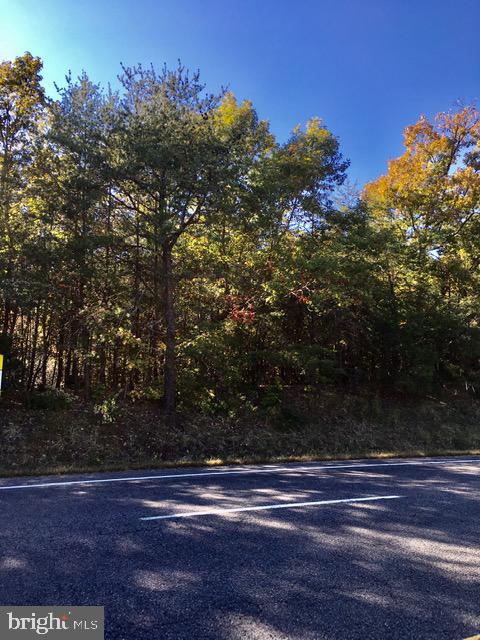 0 KINGS HWY, KING GEORGE, Virginia 22485, ,Land,For sale,0 KINGS HWY,VAKG2002766 MLS # VAKG2002766