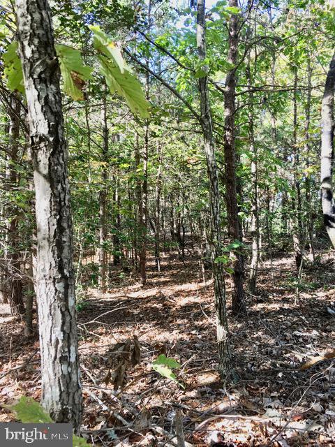 0 KINGS HWY, KING GEORGE, Virginia 22485, ,Land,For sale,0 KINGS HWY,VAKG2002766 MLS # VAKG2002766