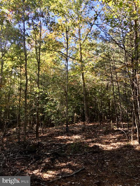 0 KINGS HWY, KING GEORGE, Virginia 22485, ,Land,For sale,0 KINGS HWY,VAKG2002766 MLS # VAKG2002766