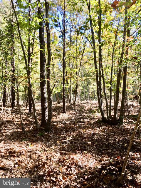 0 KINGS HWY, KING GEORGE, Virginia 22485, ,Land,For sale,0 KINGS HWY,VAKG2002766 MLS # VAKG2002766