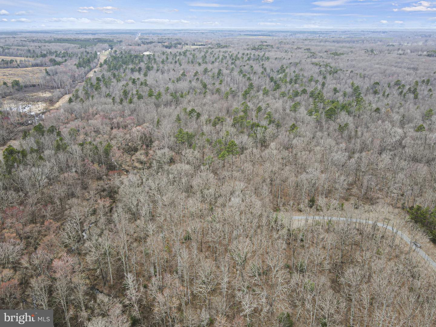 0 WARD'S FOREST AVE #LOT C-2, BEAVERDAM, Virginia 23015, ,Land,For sale,0 WARD'S FOREST AVE #LOT C-2,VAHA2000582 MLS # VAHA2000582