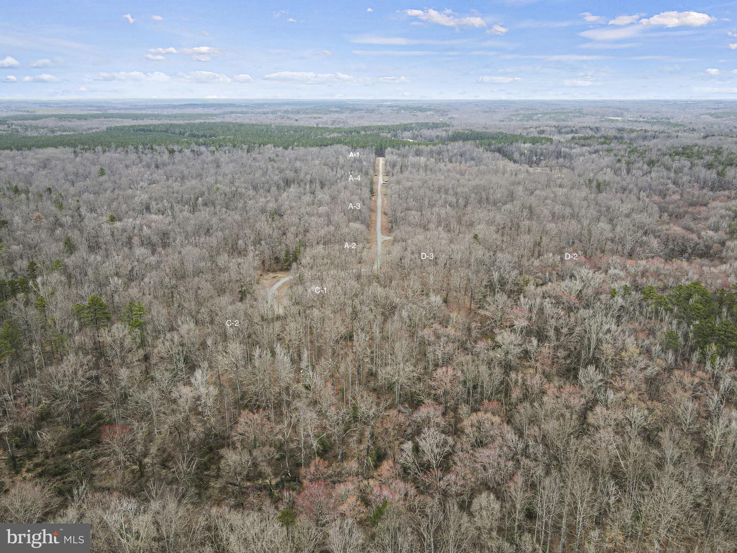 0 WARD'S FOREST AVE #LOT C-2, BEAVERDAM, Virginia 23015, ,Land,For sale,0 WARD'S FOREST AVE #LOT C-2,VAHA2000582 MLS # VAHA2000582