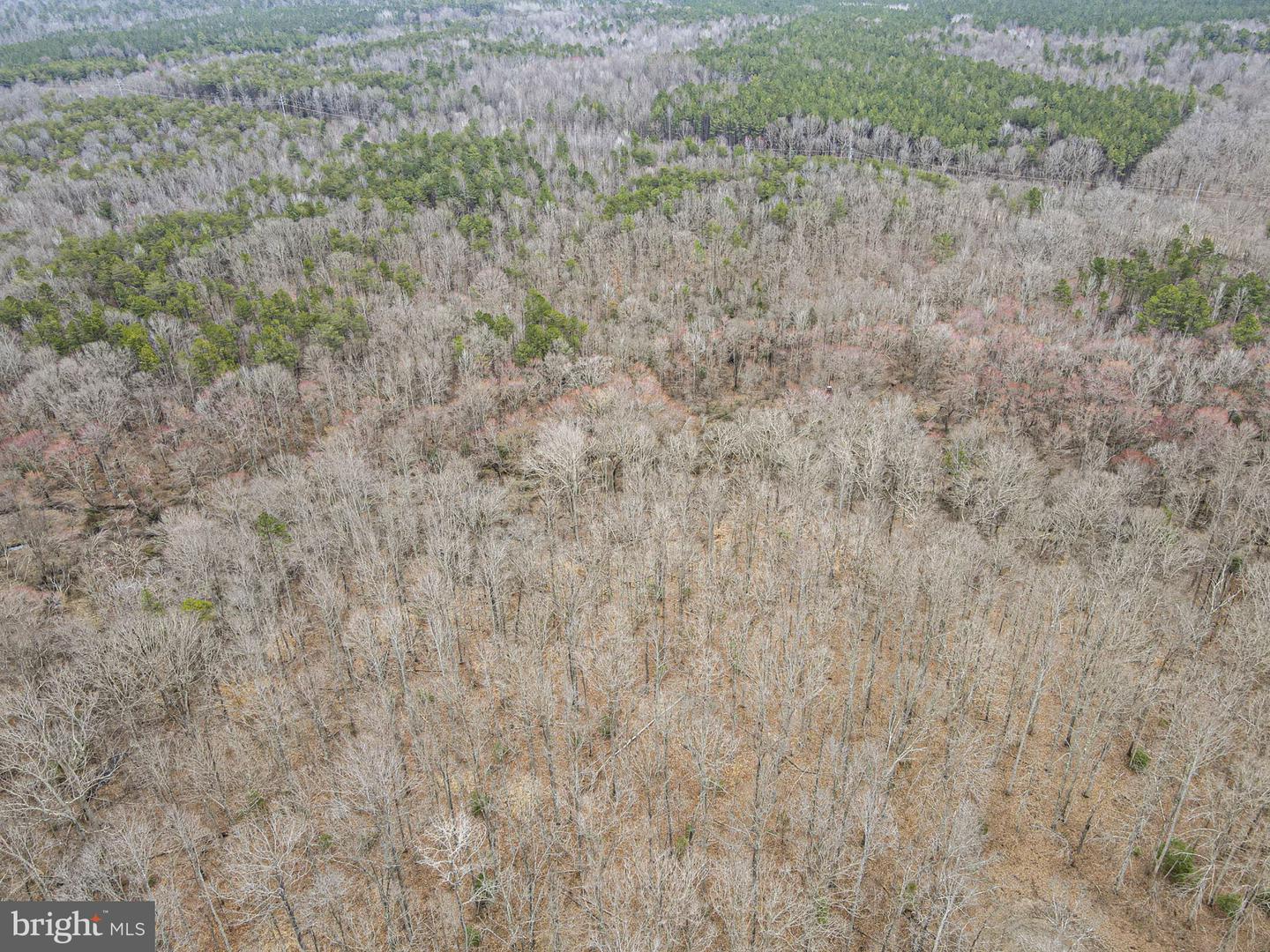 0 WARD'S FOREST AVE #LOT D-2, BEAVERDAM, Virginia 23015, ,Land,For sale,0 WARD'S FOREST AVE #LOT D-2,VAHA2000584 MLS # VAHA2000584