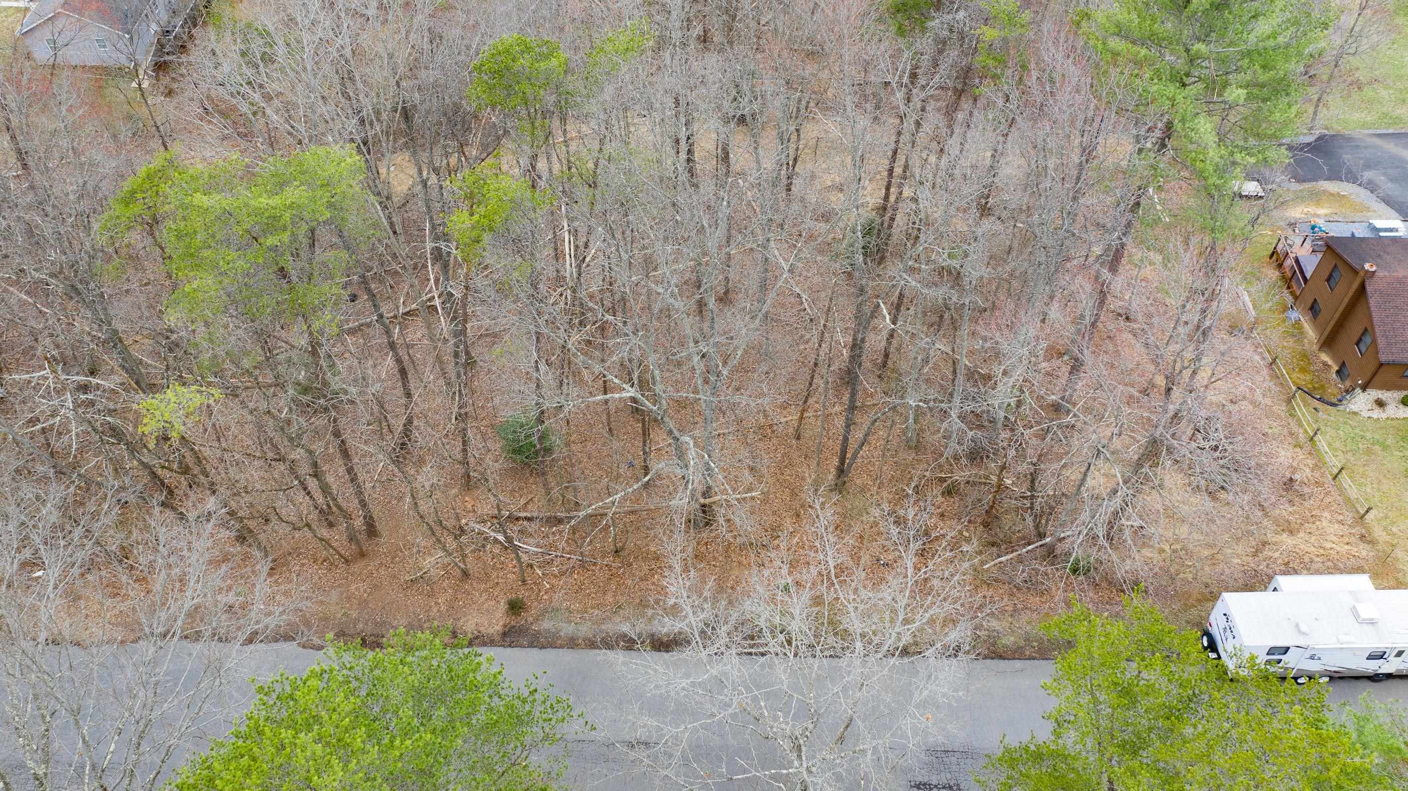Two wooded lots off Laurel Avenue. A great mix of both privacy and community.