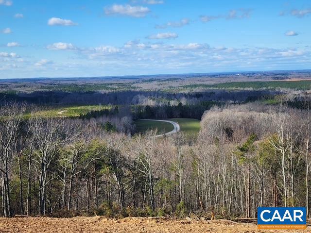 000 MOUNTAIN CREEK RD, GREEN BAY, Virginia 23942, ,Land,For sale,000 MOUNTAIN CREEK RD,648805 MLS # 648805