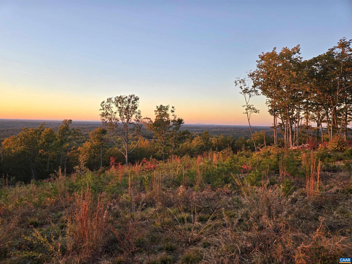 000 MOUNTAIN CREEK RD, GREEN BAY, Virginia 23942, ,Land,For sale,000 MOUNTAIN CREEK RD,648805 MLS # 648805