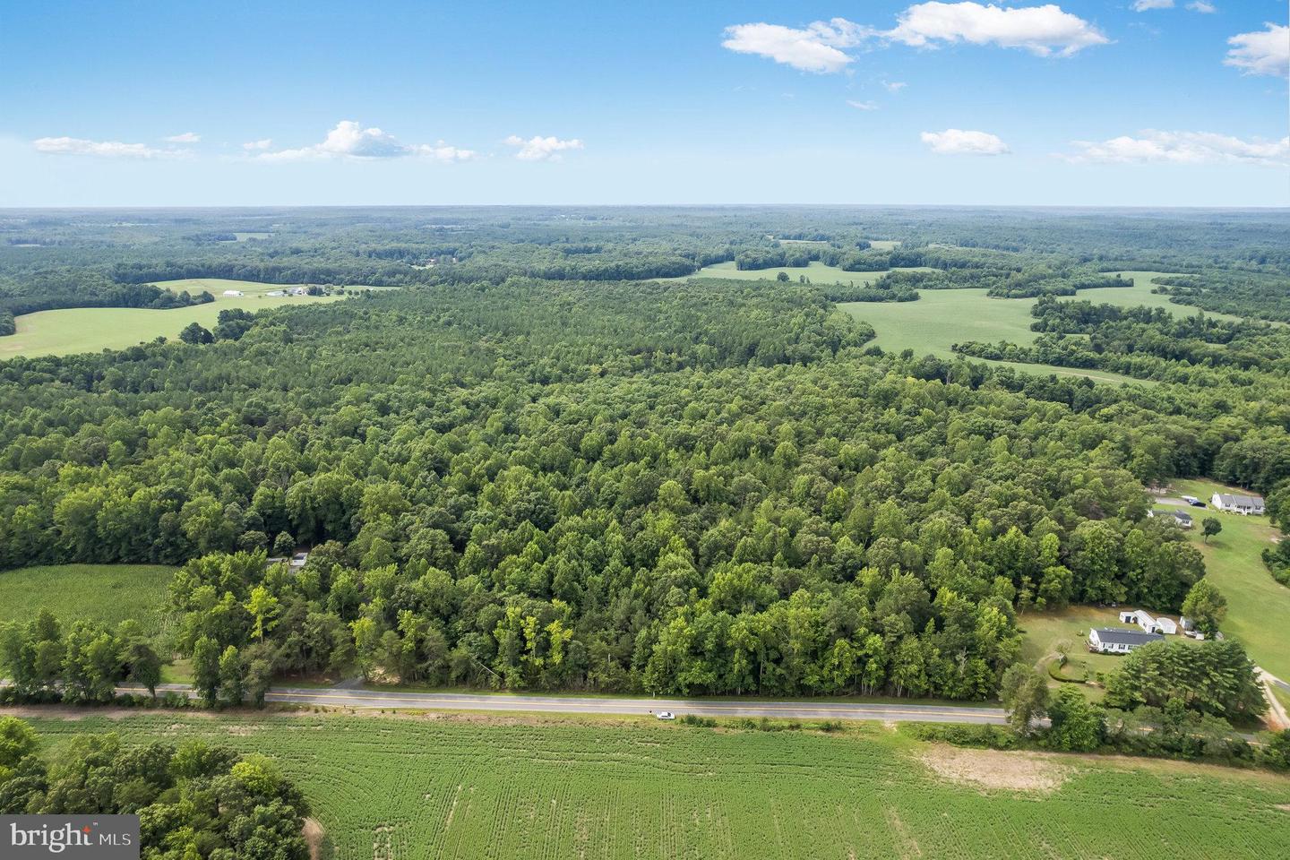 SPARTA ROAD, MILFORD, Virginia 22514, ,Land,For sale,SPARTA ROAD,VACV2005304 MLS # VACV2005304