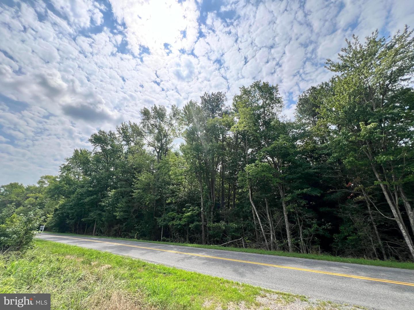 SPARTA ROAD, MILFORD, Virginia 22514, ,Land,For sale,SPARTA ROAD,VACV2005304 MLS # VACV2005304