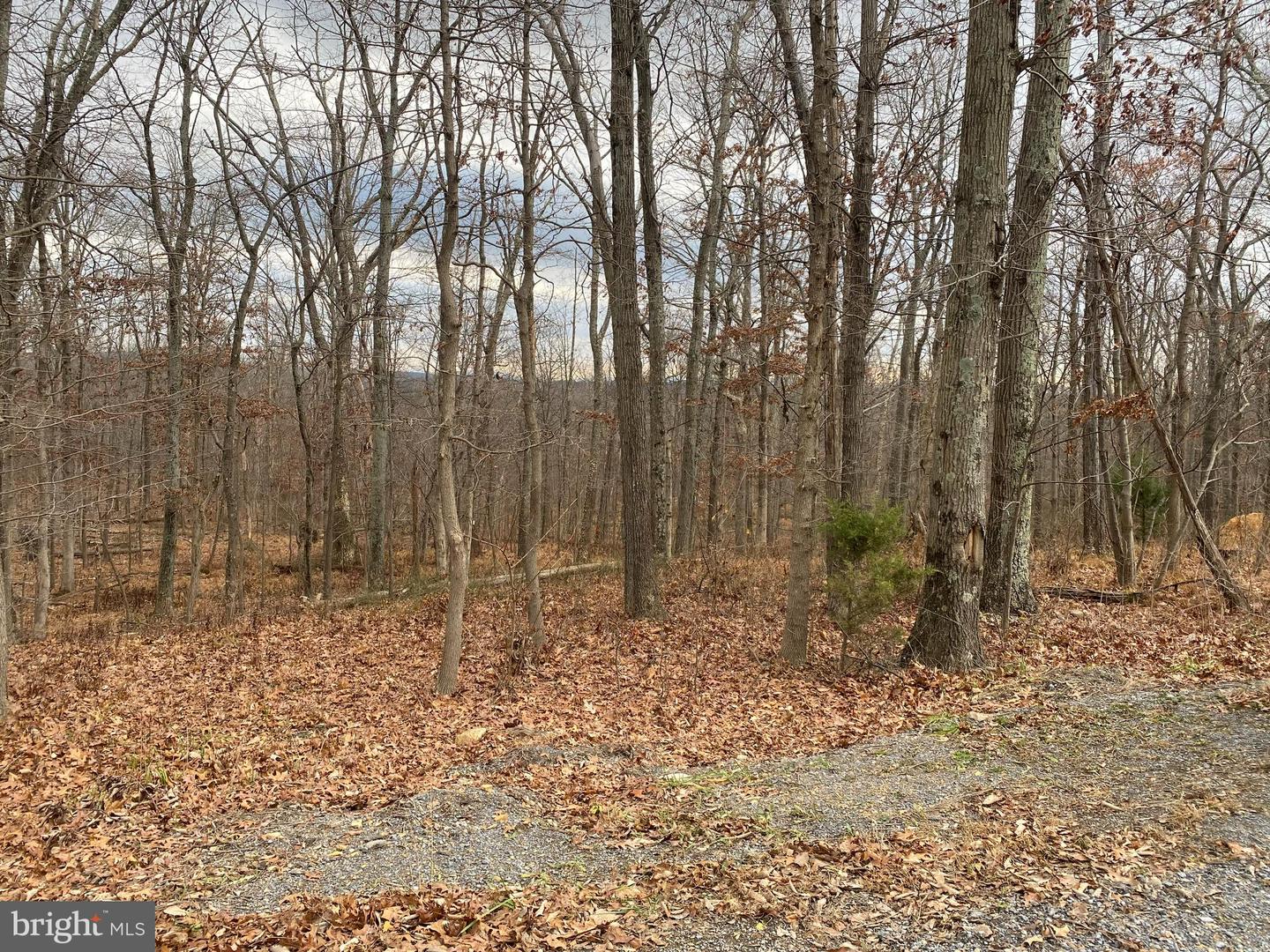 LOT 1 FAWN DR, WINCHESTER, Virginia 22602, ,Land,For sale,LOT 1 FAWN DR,VAFV2016864 MLS # VAFV2016864