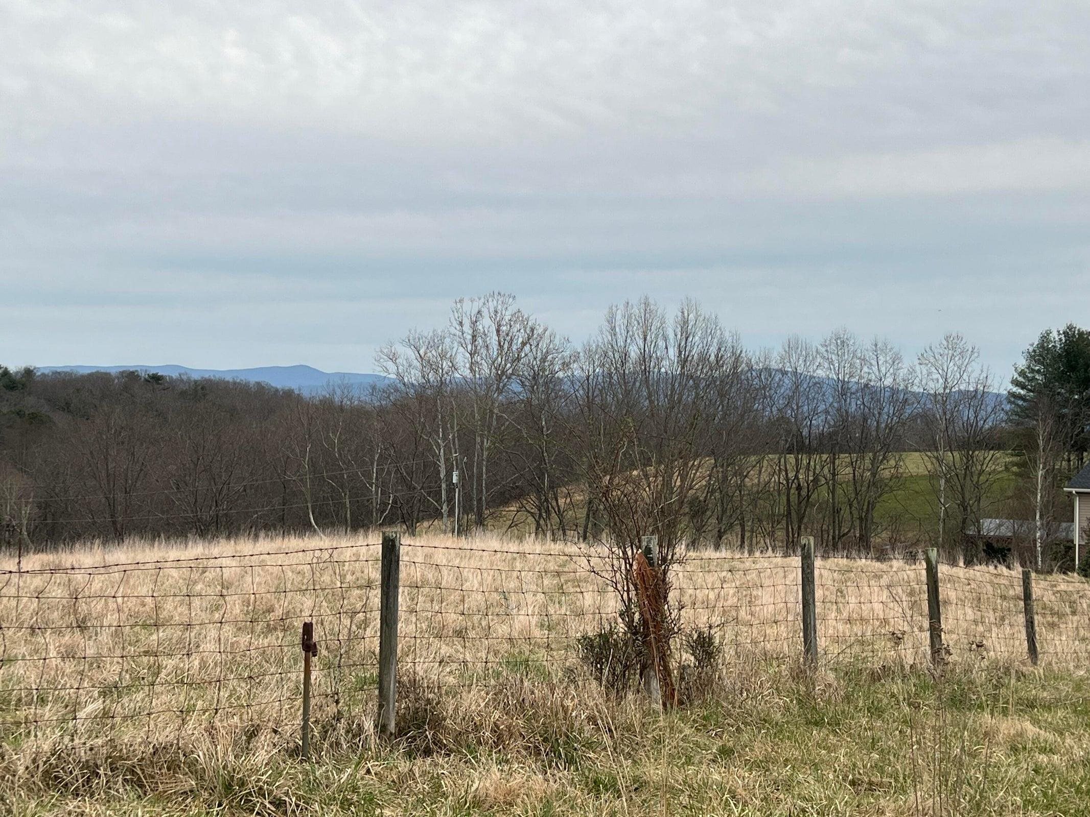 Looking to the Northeast: fields, forest and the Blue Ridge Mtns.