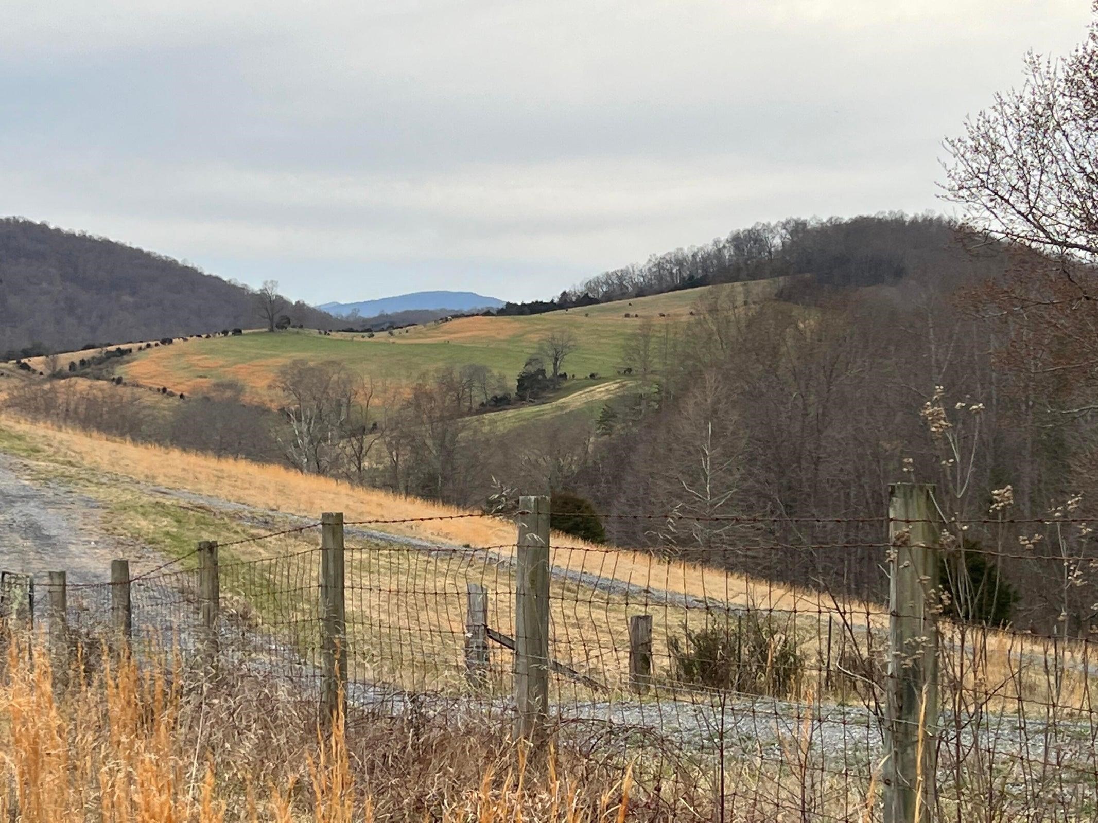 View to the Southwest includes Green Hill.