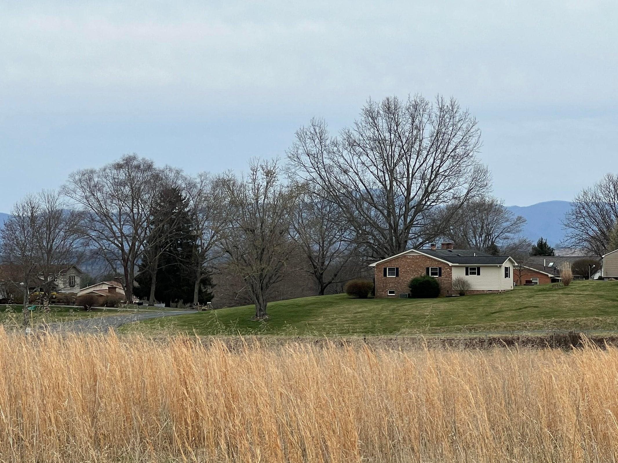 Looking East at a few homes in the Mt Vista subdivision. And over the top of them -- to the Blue Ridge.