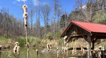 0 WILLOW BRANCH LN #8, FABER, Virginia 22938, ,Land,For sale,0 WILLOW BRANCH LN #8,649239 MLS # 649239