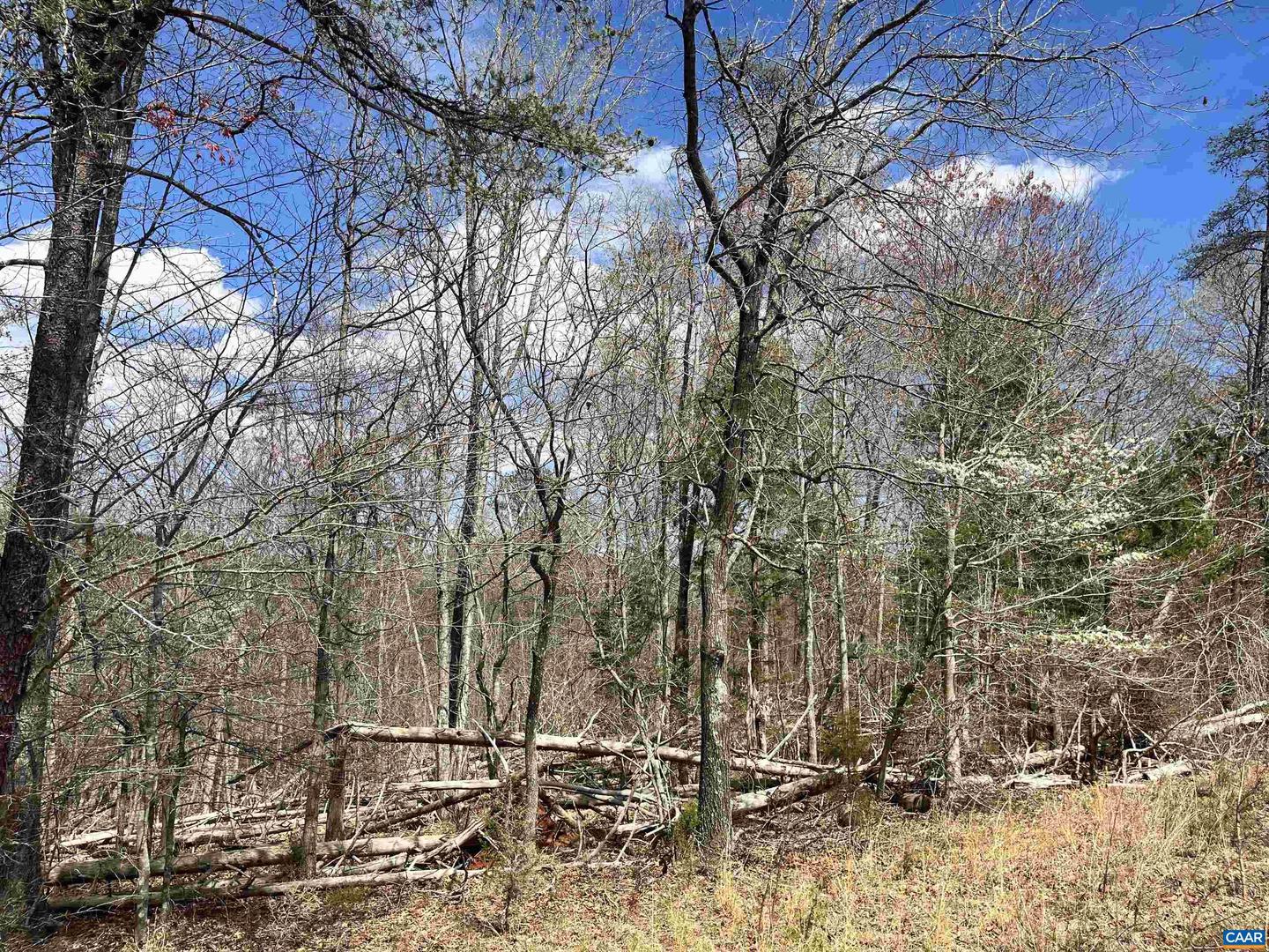 0 ADIAL RD #13, FABER, Virginia 22938, ,Land,For sale,0 ADIAL RD #13,649244 MLS # 649244