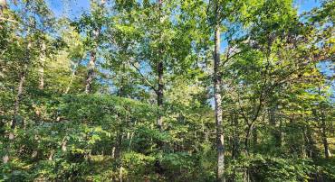 FAWN DR, WINCHESTER, Virginia 22602, ,Land,For sale,FAWN DR,VAFV2017010 MLS # VAFV2017010