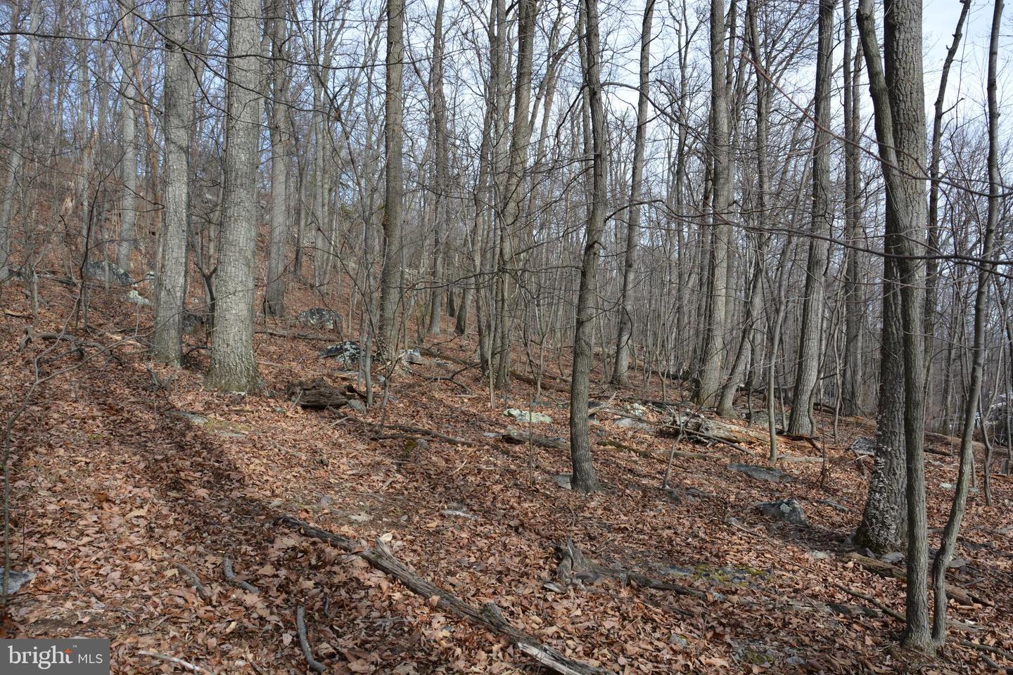 LOT 27 IROQUOIS TRL, WINCHESTER, Virginia 22602, ,Land,For sale,LOT 27 IROQUOIS TRL,VAFV2016998 MLS # VAFV2016998