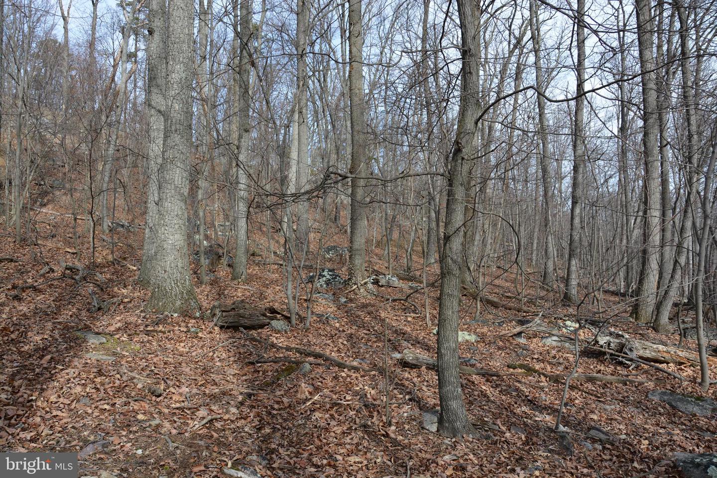 LOT 27 IROQUOIS TRL, WINCHESTER, Virginia 22602, ,Land,For sale,LOT 27 IROQUOIS TRL,VAFV2016998 MLS # VAFV2016998