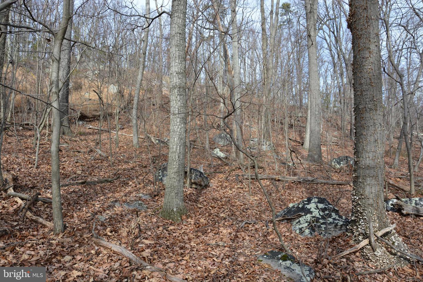 LOT 27 IROQUOIS TRL, WINCHESTER, Virginia 22602, ,Land,For sale,LOT 27 IROQUOIS TRL,VAFV2016998 MLS # VAFV2016998