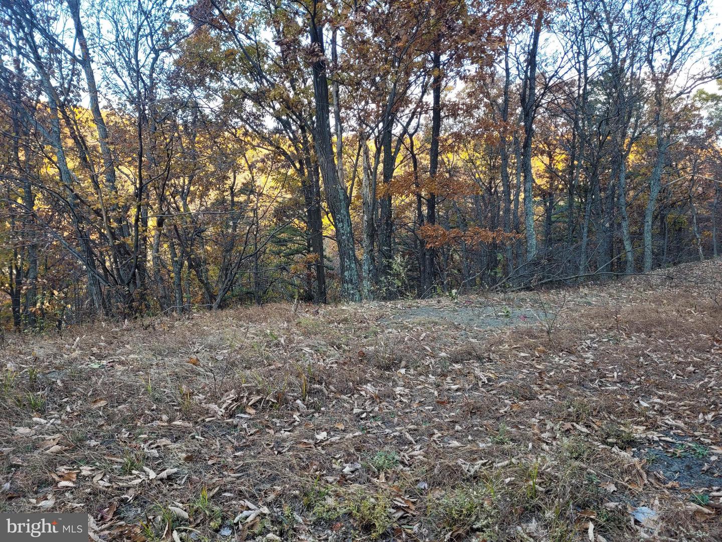 LOT 19 SOUTH WEST SLOPE, STAR TANNERY, Virginia 22654, ,Land,For sale,LOT 19 SOUTH WEST SLOPE,VAFV2017214 MLS # VAFV2017214