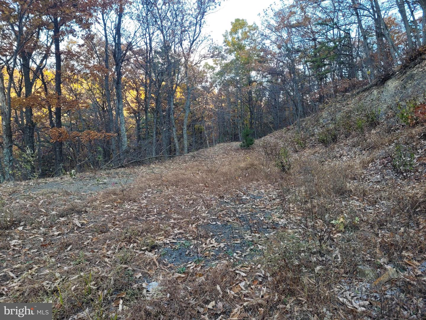LOT 19 SOUTH WEST SLOPE, STAR TANNERY, Virginia 22654, ,Land,For sale,LOT 19 SOUTH WEST SLOPE,VAFV2017214 MLS # VAFV2017214