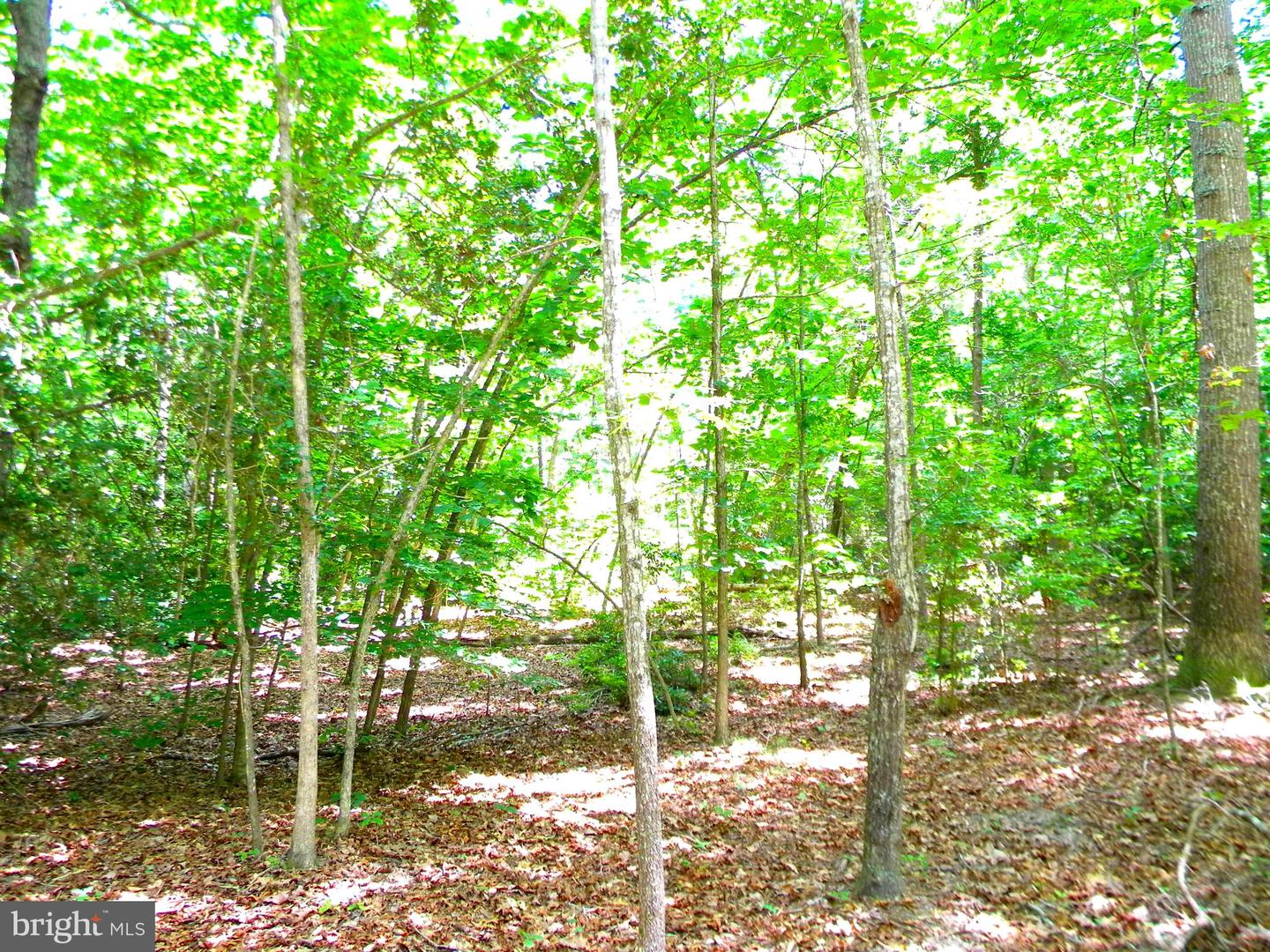 LOT 10A THUNDER RD, KING GEORGE, Virginia 22485, ,Land,For sale,LOT 10A THUNDER RD,VAKG2004620 MLS # VAKG2004620