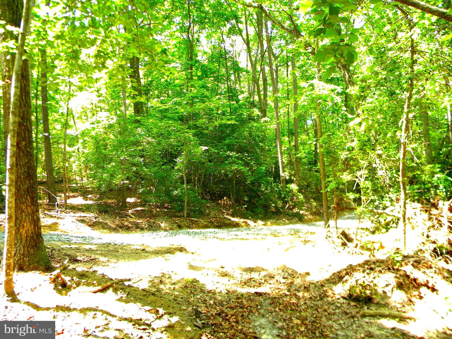 LOT 10A THUNDER RD, KING GEORGE, Virginia 22485, ,Land,For sale,LOT 10A THUNDER RD,VAKG2004620 MLS # VAKG2004620