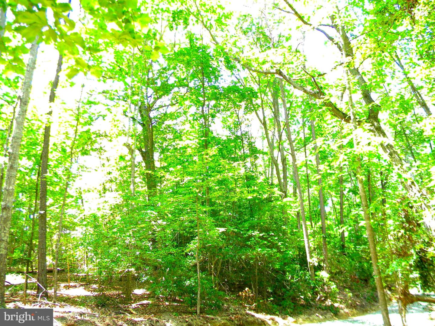 LOT 10A THUNDER RD, KING GEORGE, Virginia 22485, ,Land,For sale,LOT 10A THUNDER RD,VAKG2004620 MLS # VAKG2004620