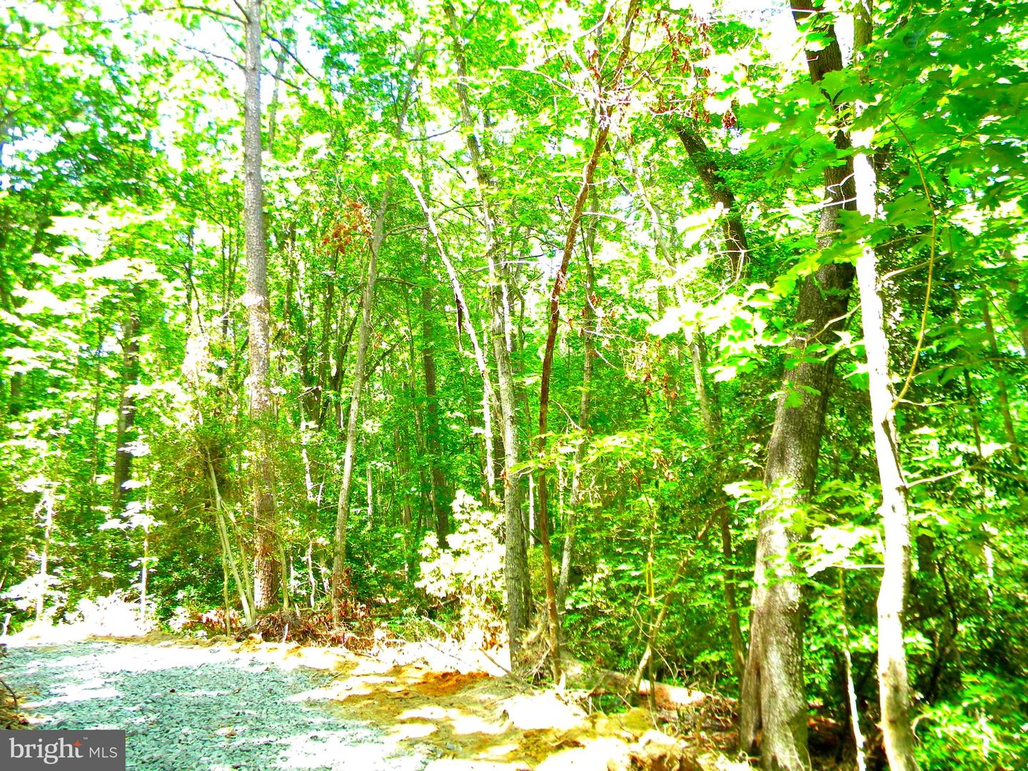 LOT 10A THUNDER RD, KING GEORGE, Virginia 22485, ,Land,For sale,LOT 10A THUNDER RD,VAKG2004620 MLS # VAKG2004620