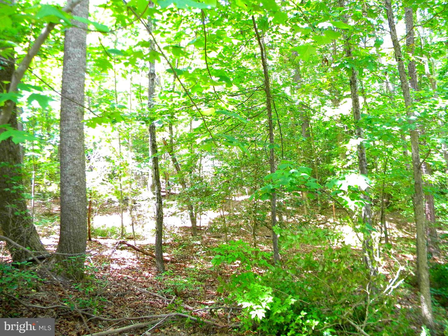 LOT 10A THUNDER RD, KING GEORGE, Virginia 22485, ,Land,For sale,LOT 10A THUNDER RD,VAKG2004620 MLS # VAKG2004620