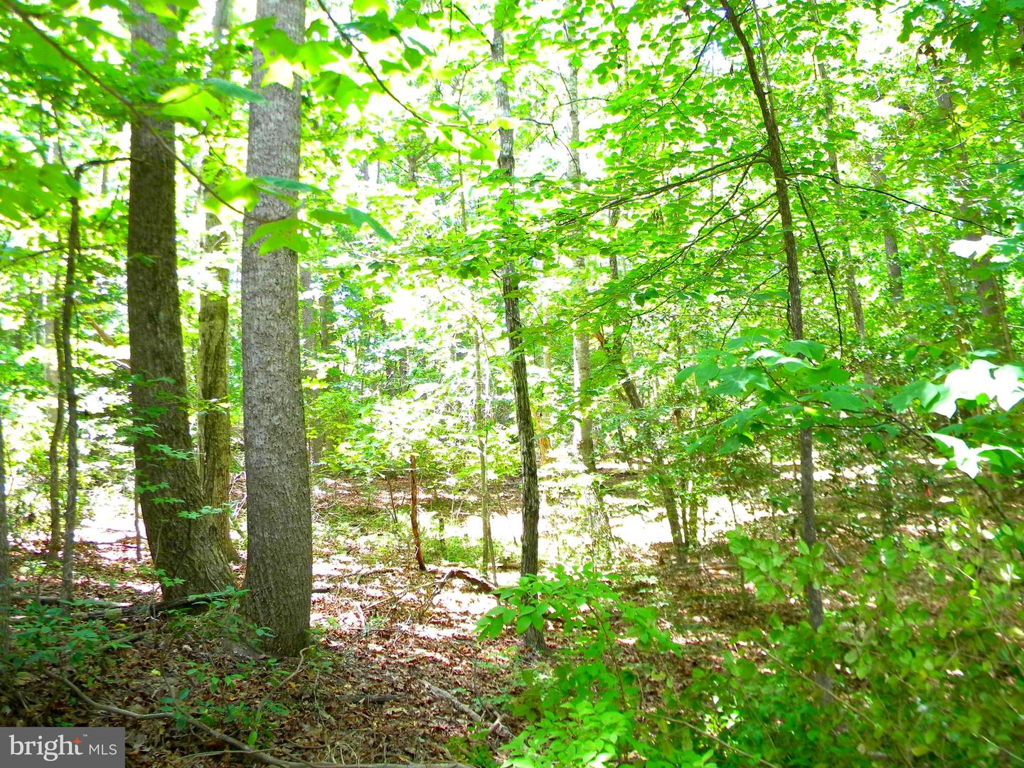 LOT 10A THUNDER RD, KING GEORGE, Virginia 22485, ,Land,For sale,LOT 10A THUNDER RD,VAKG2004620 MLS # VAKG2004620