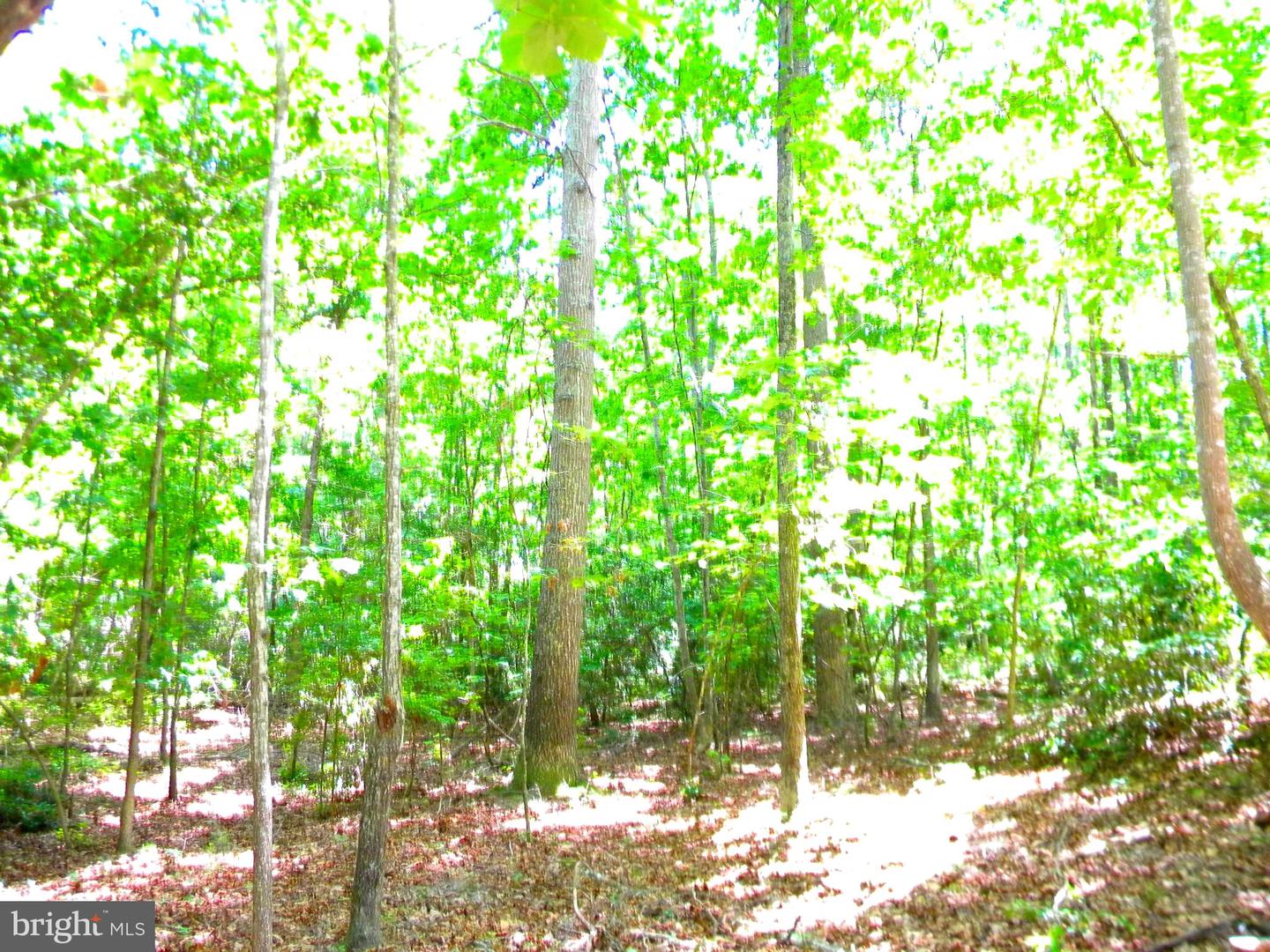 LOT 10A THUNDER RD, KING GEORGE, Virginia 22485, ,Land,For sale,LOT 10A THUNDER RD,VAKG2004620 MLS # VAKG2004620