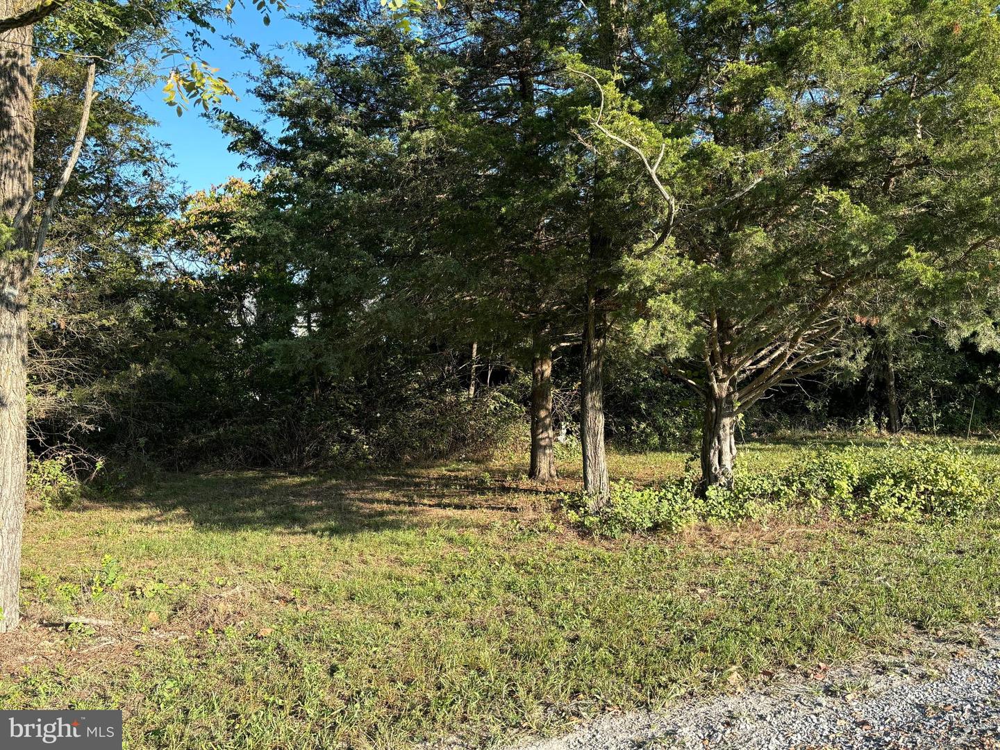 TBD HARPER VALLEY RD, LURAY, Virginia 22835, ,Land,For sale,TBD HARPER VALLEY RD,VAPA2003220 MLS # VAPA2003220