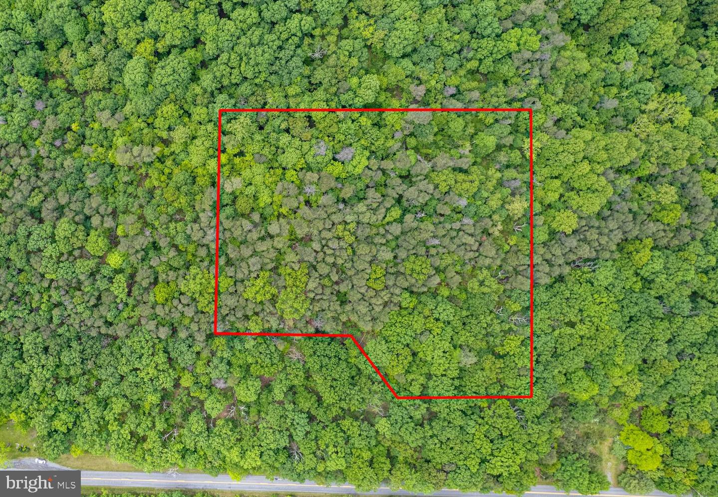 LOT 2 TIMBER RIDGE RD N, CROSS JUNCTION, Virginia 22625, ,Land,For sale,LOT 2 TIMBER RIDGE RD N,VAFV2017278 MLS # VAFV2017278