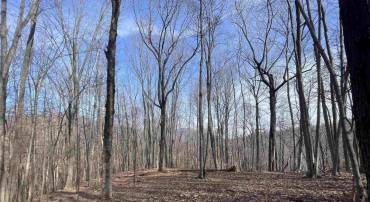 TBD PINE TREE LN #REVISED LOT 24, NELLYSFORD, Virginia 22958, ,Land,For sale,TBD PINE TREE LN #REVISED LOT 24,650124 MLS # 650124