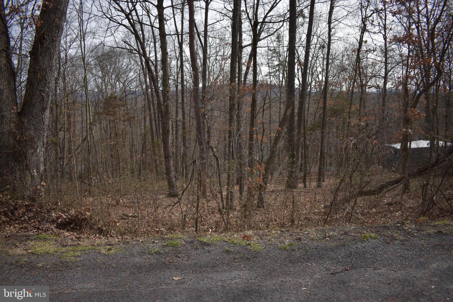 TBD MAPLE AVE AVE, MOUNT JACKSON, Virginia 22842, ,Land,For sale,TBD MAPLE AVE AVE,VASH2007966 MLS # VASH2007966