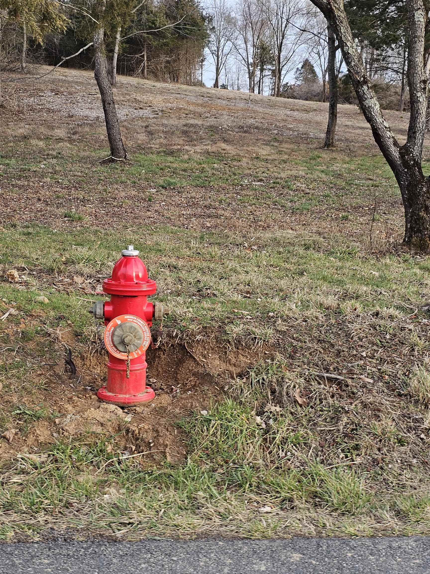 Fire protection and an Augusta County public water line runs through the front of this lot. The purchaser is responsible for the connection fee, which is $3,000. Purchaser to confirm the fee.