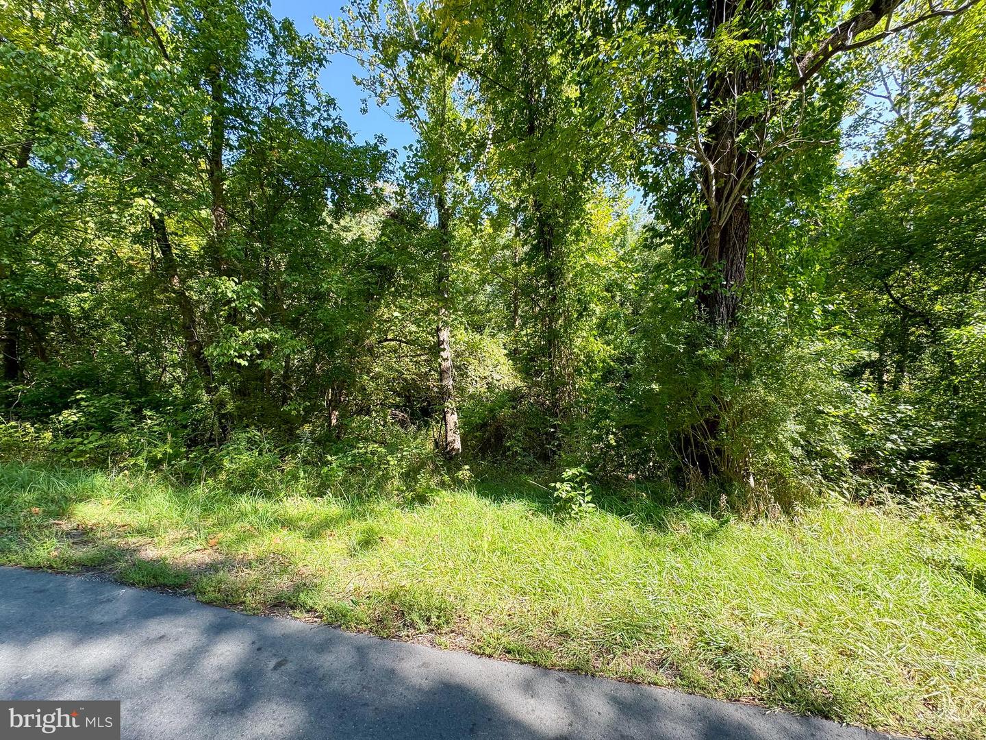 LIME KILN RD, MIDDLEBURG, Virginia 20117, ,Land,For sale,LIME KILN RD,VALO2066116 MLS # VALO2066116