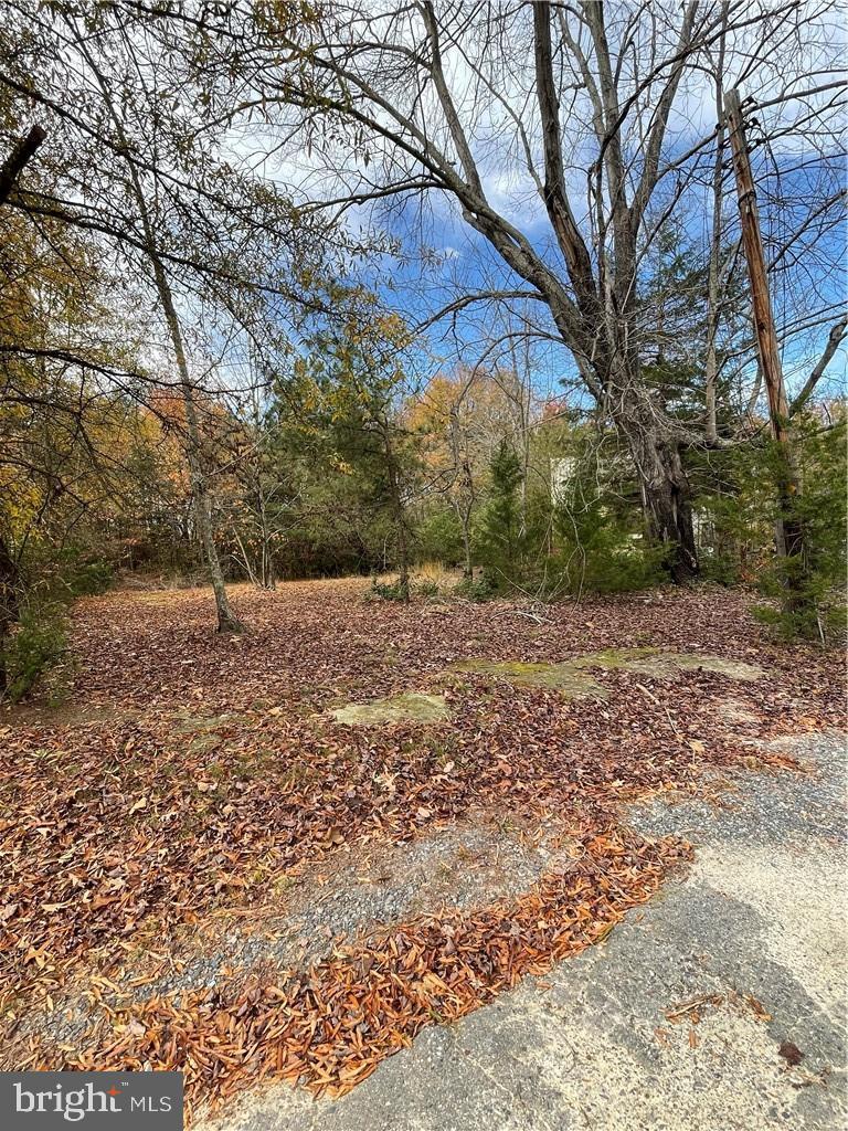 14419 CONCORD RD, RUTHER GLEN, Virginia 22546, ,Land,For sale,14419 CONCORD RD,VACV2005494 MLS # VACV2005494