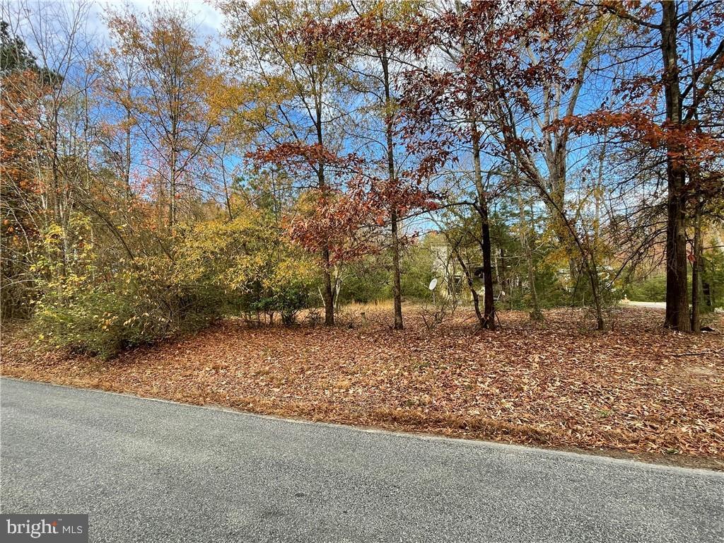 14419 CONCORD RD, RUTHER GLEN, Virginia 22546, ,Land,For sale,14419 CONCORD RD,VACV2005494 MLS # VACV2005494