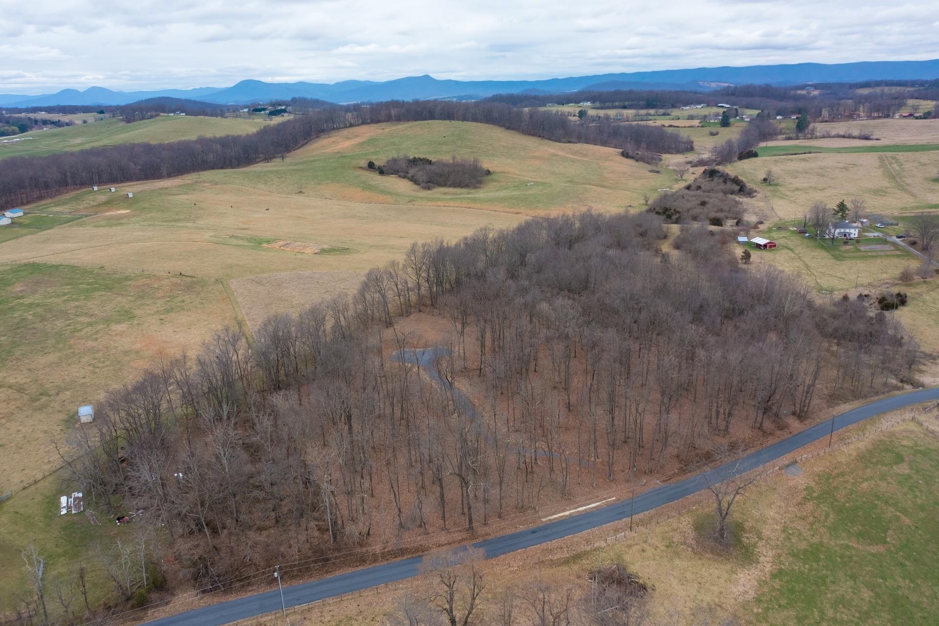 TBD OLD B AND O RD, STEELES TAVERN, Virginia 24476, ,Land,TBD OLD B AND O RD,650464 MLS # 650464