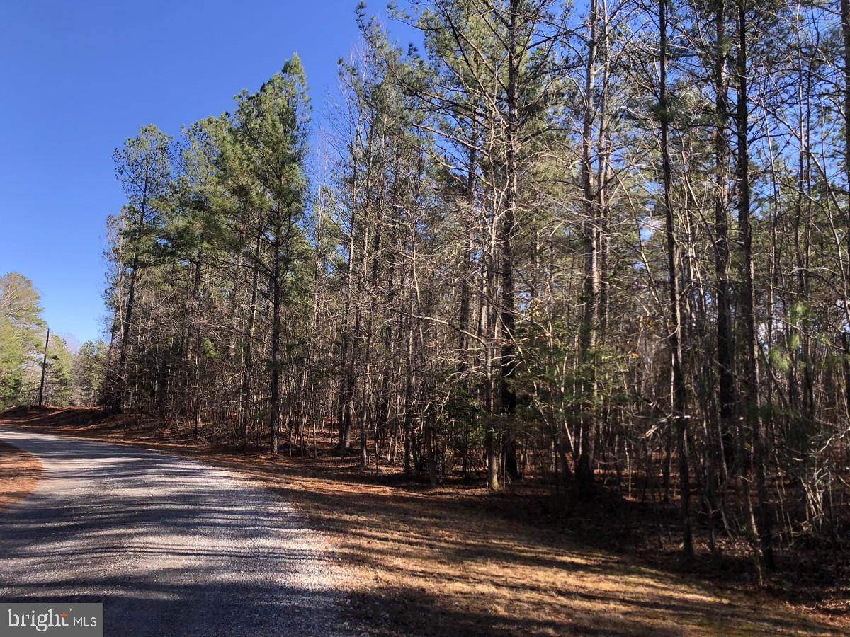 COUNTRY LN, GASBURG, Virginia 23857, ,Land,For sale,COUNTRY LN,VABW2000030 MLS # VABW2000030