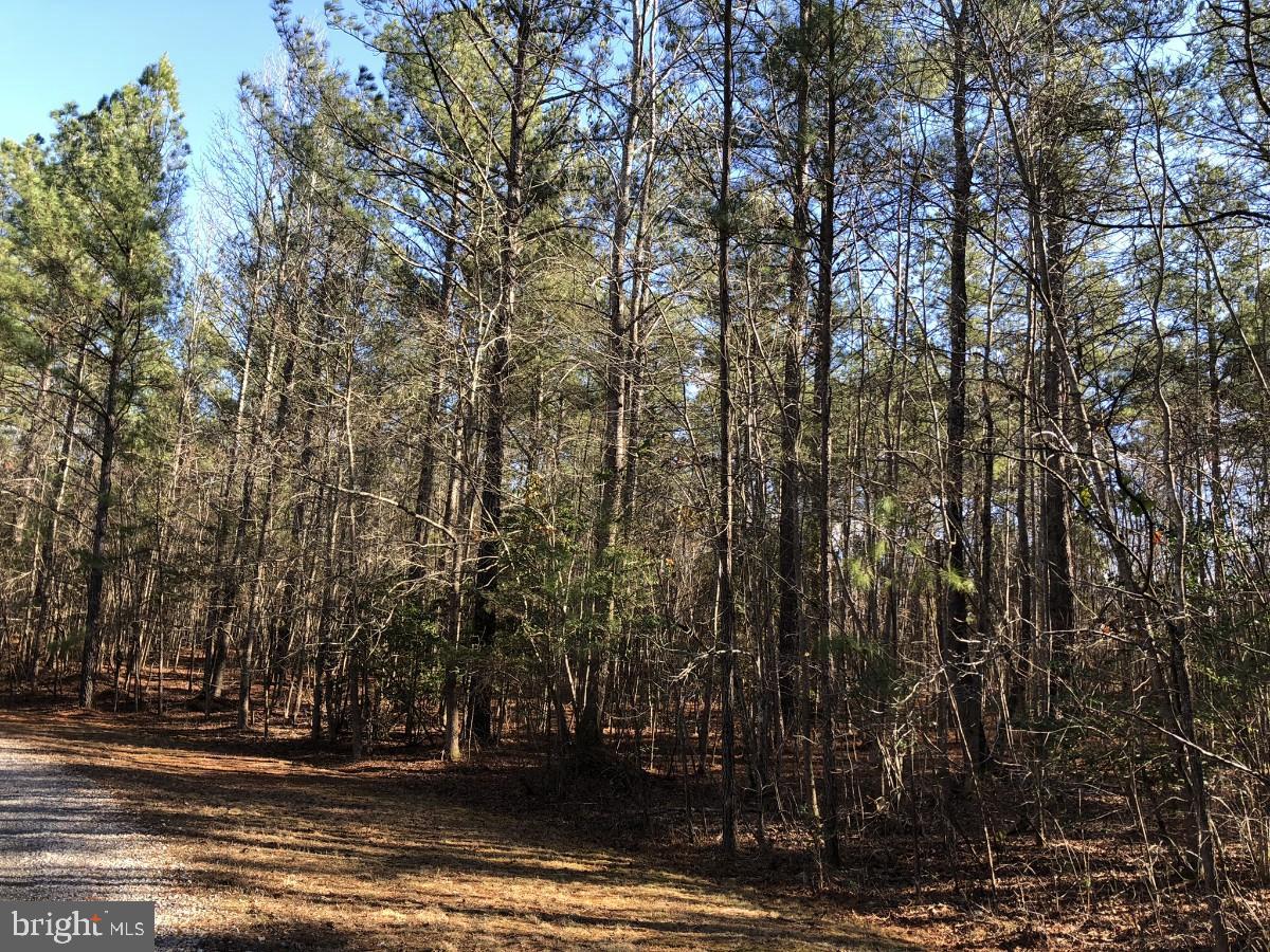 COUNTRY LN, GASBURG, Virginia 23857, ,Land,For sale,COUNTRY LN,VABW2000030 MLS # VABW2000030