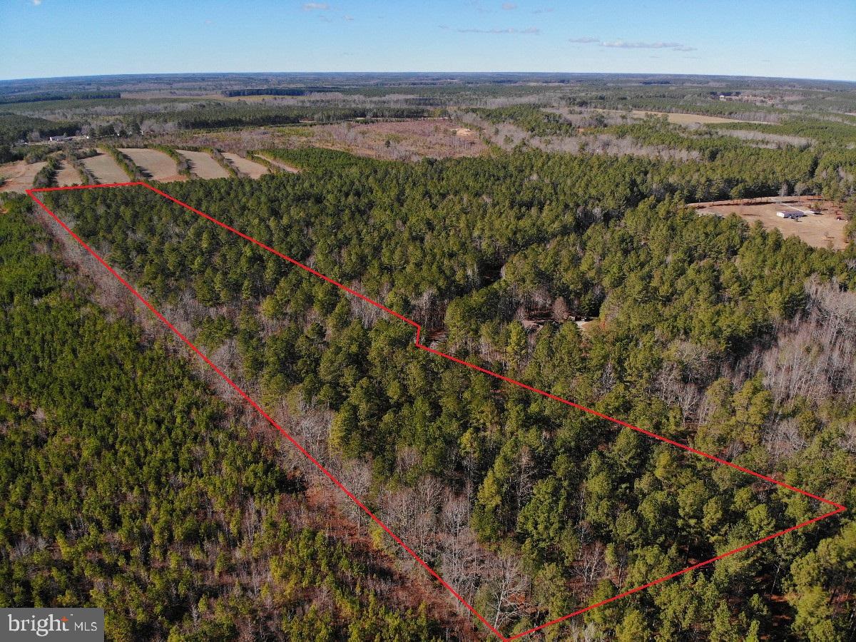 COUNTRY LN, GASBURG, Virginia 23857, ,Land,For sale,COUNTRY LN,VABW2000030 MLS # VABW2000030