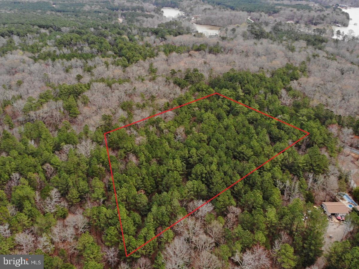 OCCANECCHI TRL, EBONY, Virginia 23845, ,Land,For sale,OCCANECCHI TRL,VABW2000034 MLS # VABW2000034