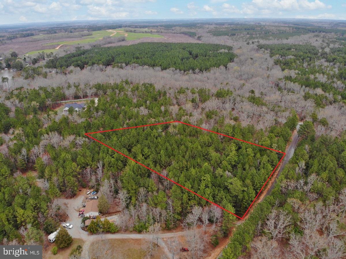 OCCANECCHI TRL, EBONY, Virginia 23845, ,Land,For sale,OCCANECCHI TRL,VABW2000034 MLS # VABW2000034