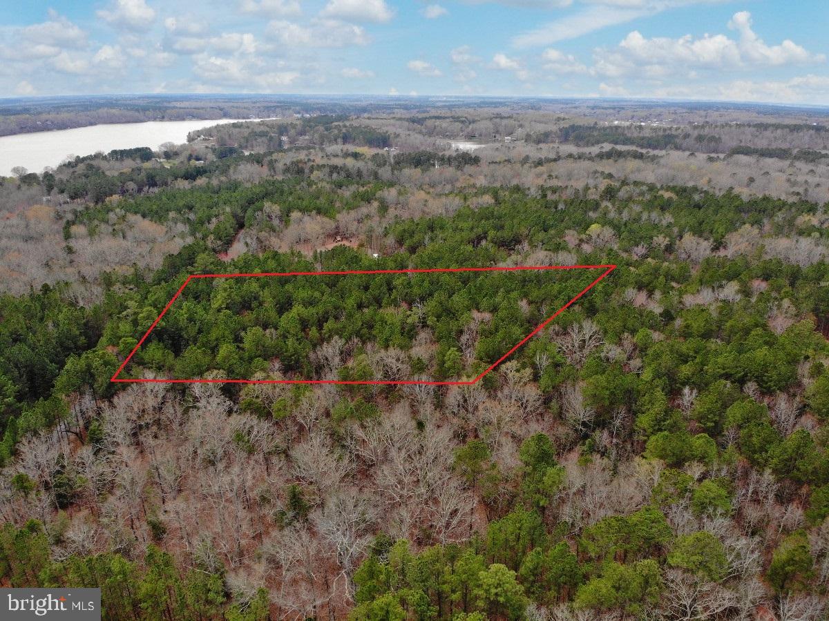 OCCANECCHI TRL, EBONY, Virginia 23845, ,Land,For sale,OCCANECCHI TRL,VABW2000034 MLS # VABW2000034