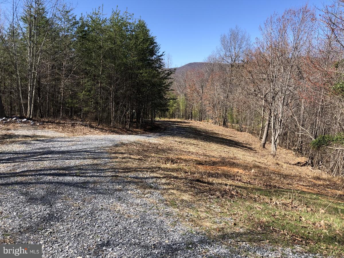 COUNTRY LN, THAXTON, Virginia 24174, ,Land,For sale,COUNTRY LN,VABV2000080 MLS # VABV2000080