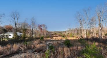 0 FREDERICKS HALL RD, MINERAL, Virginia 23117, ,Land,For sale,0 FREDERICKS HALL RD,VALA2005144 MLS # VALA2005144