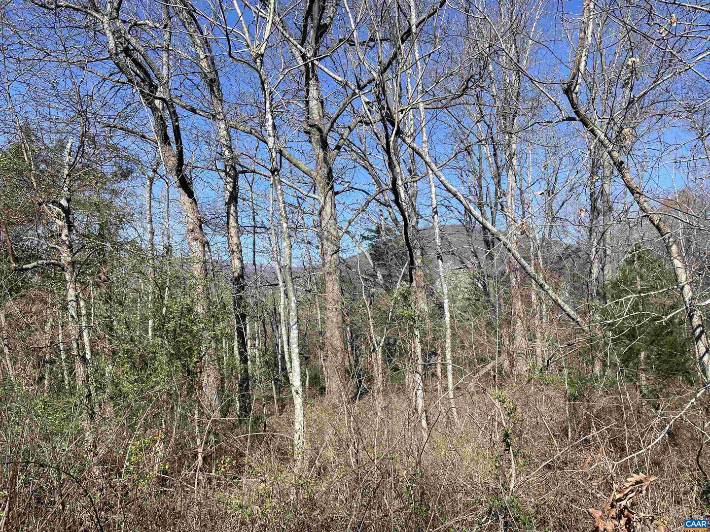 TBD RODES VALLEY DR #4, NELLYSFORD, Virginia 22958, ,Land,For sale,TBD RODES VALLEY DR #4,651042 MLS # 651042