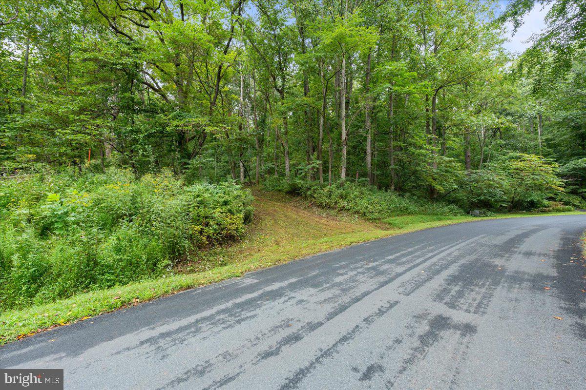 233 STONE CHIMNEYS RD RD, NELLYSFORD, Virginia 22958, ,Land,For sale,233 STONE CHIMNEYS RD RD,VANL2000282 MLS # VANL2000282